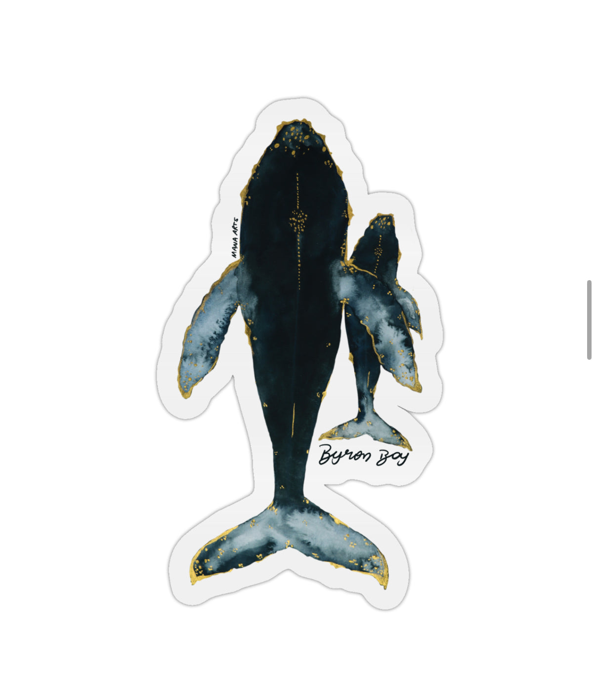 Byron Bay whales sticker