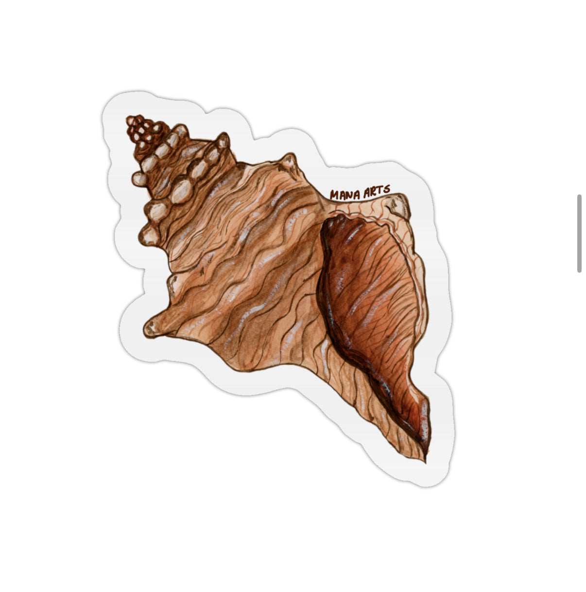 Triton shell stickers