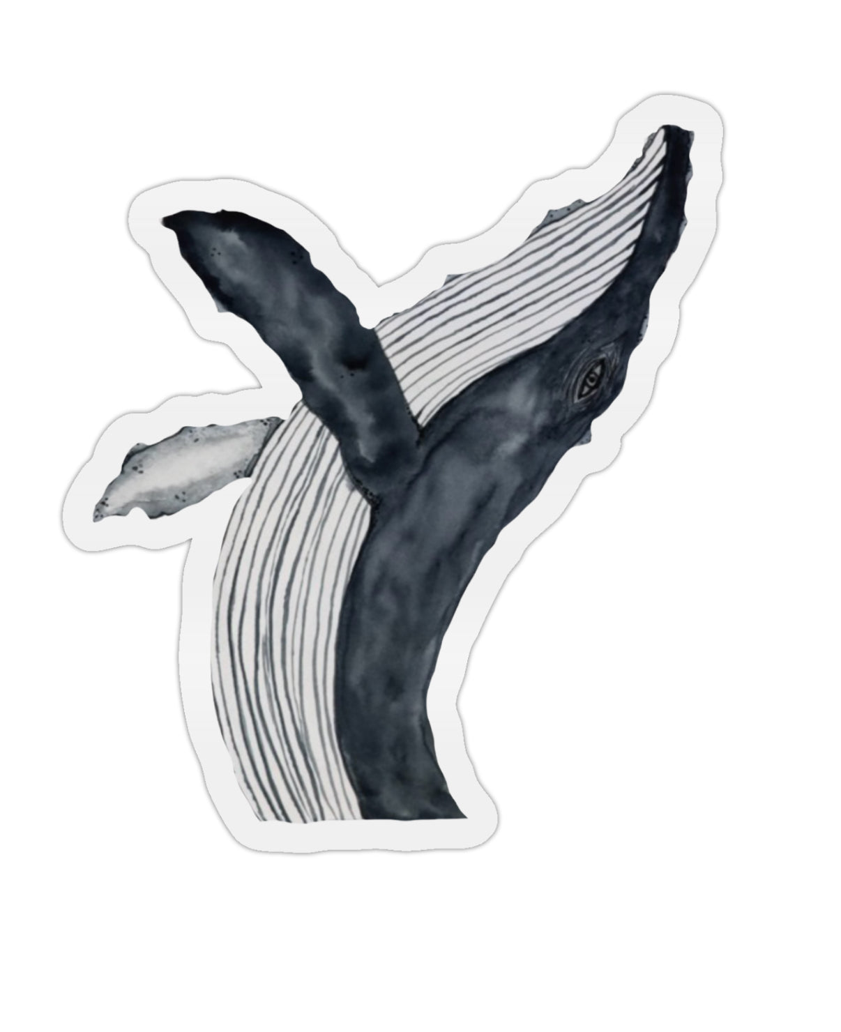 Whale sticker